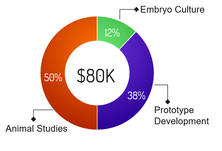 Funding Phase 1