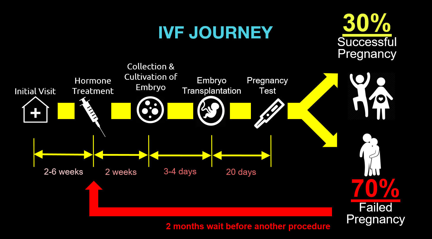 The IVF Journey