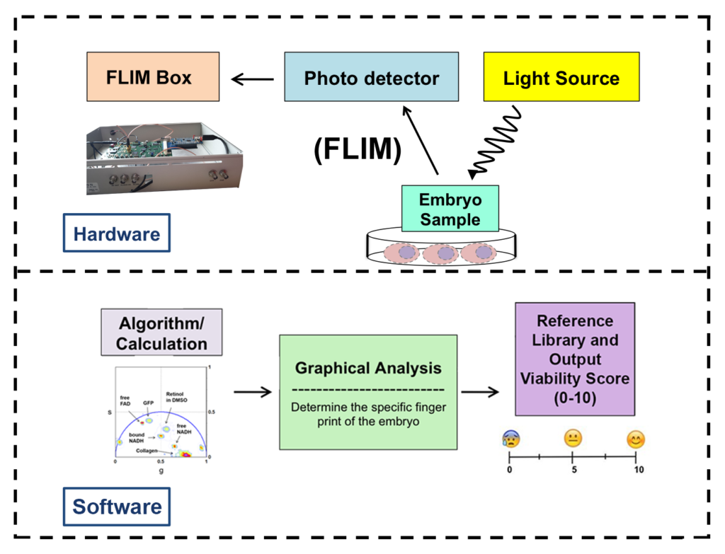 Overview Schematic